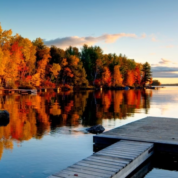 Summer 😎Sale - Picture 2 of 3